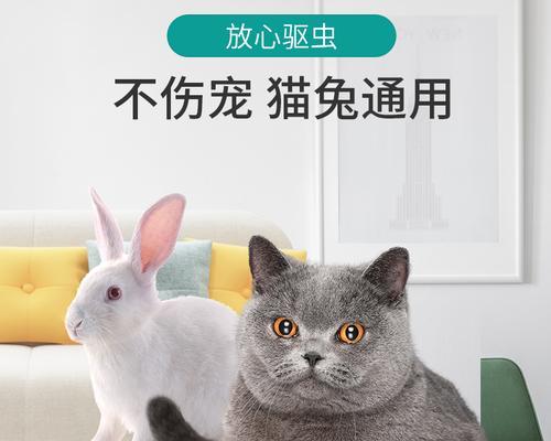 猫咪除虫需要多久（探究猫咪体内虫子存活周期及驱虫的最佳时间）