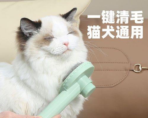 猫咪听到梳子声音为什么会恶心（探究猫咪对梳子声音的敏感度和生理原因）