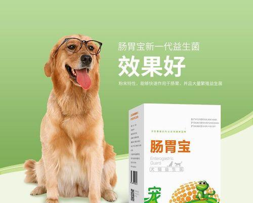 猫咪拉稀不吃东西怎么办（宠物饮食注意事项）