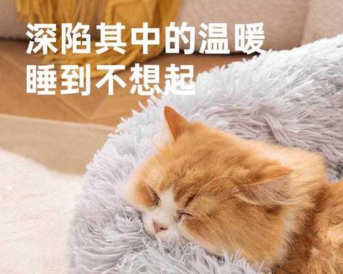 当宠物猫咪突然生产，你需要知道的关键信息（一步步了解如何帮助你的猫咪安全生产）