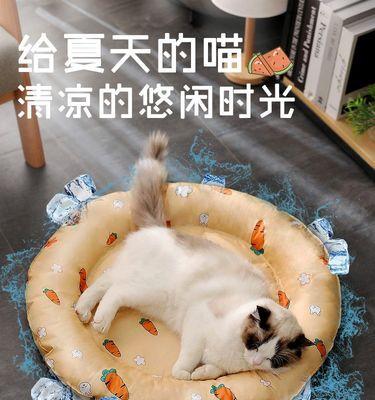 猫咪瘫痪四肢，主人必须知道的救护方法（突然出现的瘫痪症状如何应对）