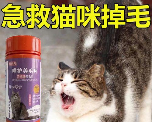 猫咪脱毛期掉多少毛（如何应对猫咪脱毛期）