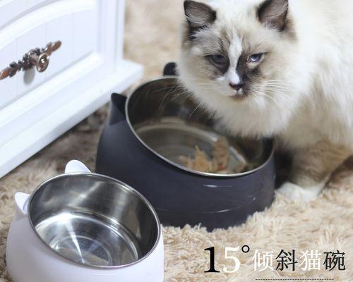 猫咪为什么会脱头（探究猫咪脱头的原因及解决方法）