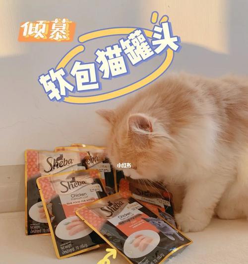 猫咪维生素E的补充方法（以宠物为主）