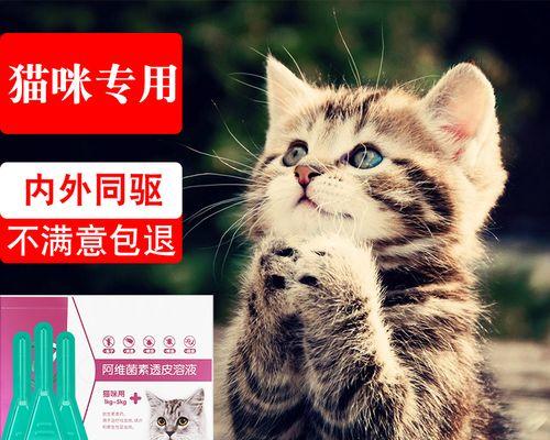 解决猫咪喂不进液体药的方法（以宠物为主）