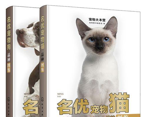 保障城市卫生，从宠物猫咪做起（宠物猫咪的健康检查与管理）