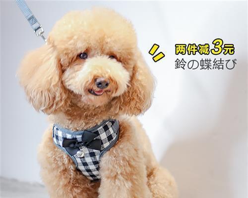 如何防止宠物犬欺负小孩（掌握正确的宠物犬教育方法）