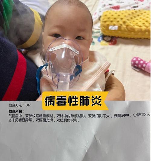 小狗气管呼呼声之宠物呼吸道问题（揭秘宠物气管呼呼声的成因）