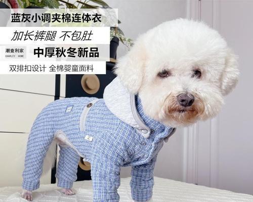 小狗在家需要穿衣服吗（宠物生活中的穿衣问题与解决方案）