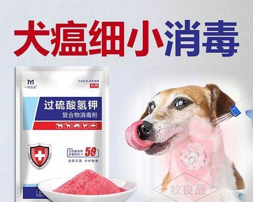 防治狗狗犬瘟的药物（宠物健康不容忽视——如何正确选用药物治疗犬瘟）