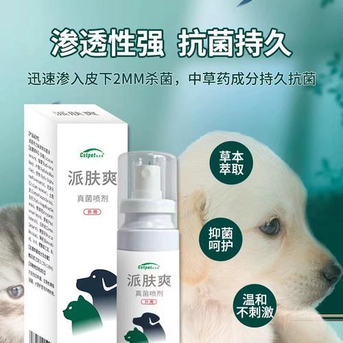 狗狗身痒用什么药（选择正确药物）