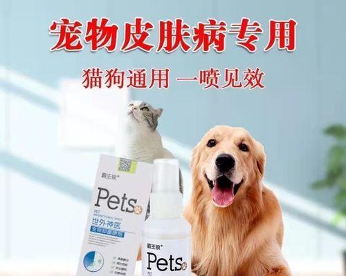 解决狗狗腿部皮肤病，用什么药最好（以宠物为主）