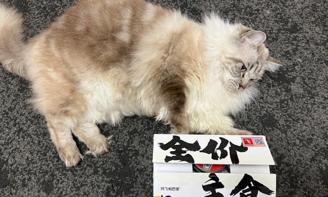 宠物猫吃饭拉肚子的原因和治疗方法