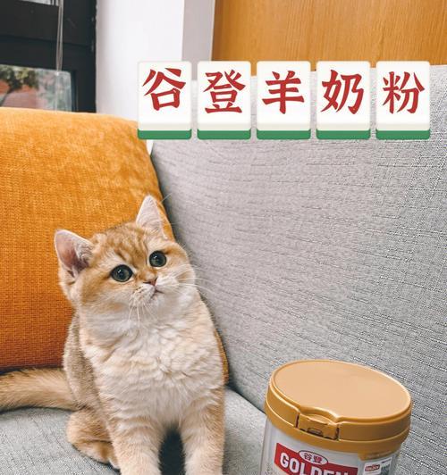 如何为宠物小猫选择最适合的羊奶粉（宠物小猫的营养需求及羊奶粉的特点介绍）