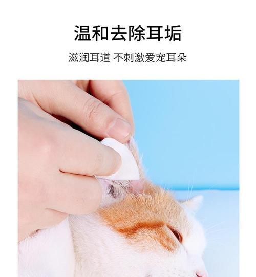 宠物小猫流青色眼屎的原因及治疗方法（宠物小猫流青色眼屎应该如何预防和治疗）