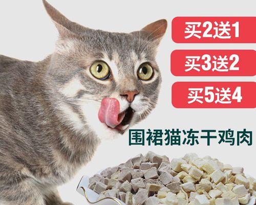 怎么给小猫猫处理过期的猫粮（如何避免浪费、保障小猫猫的健康）