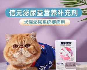 小猫尿频该用什么药（探究常用的宠物药品）