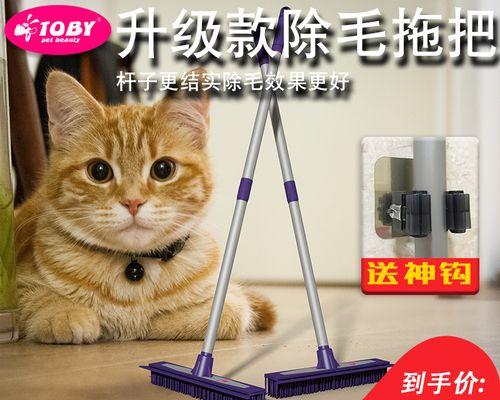 小猫欺负小狗（如何处理宠物之间的冲突）