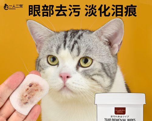 小猫睡醒有眼屎怎么办（宠物爱护必备）