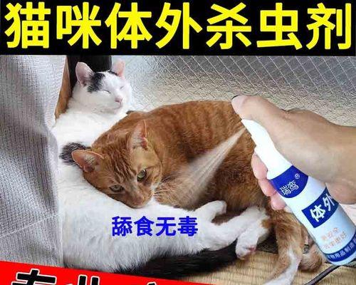 小猫体外驱虫的必要性（让宠物健康无忧）