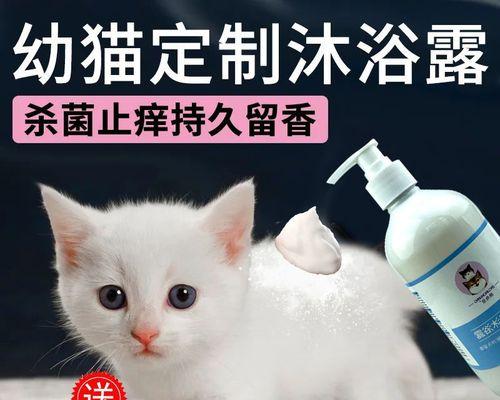 小猫洗完澡后怎么预防着凉（关爱宠物）