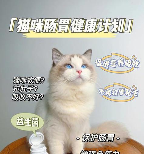 解决小猫胀气问题，让它健康成长（解决小猫胀气问题）