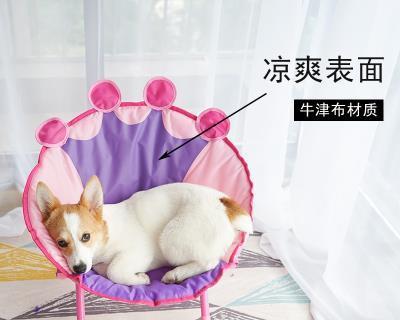 小猫咪如何顺利拉屎（宠物主人必读）