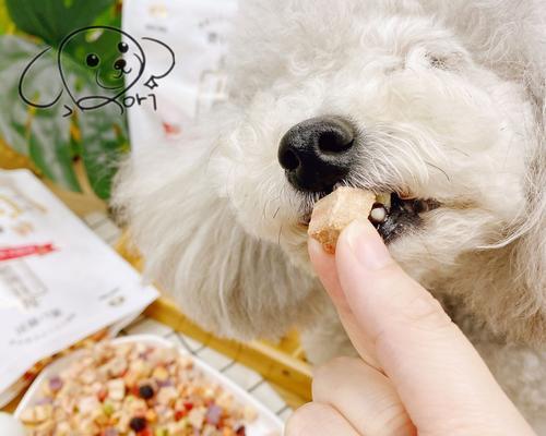 狗狗健康从饮食开始（以蔬菜为主的宠物饮食调理）