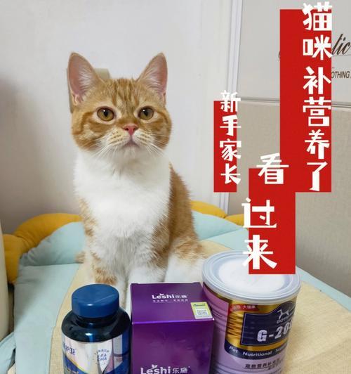 如何为你的猫咪选购适合的肠（宠爱之心从细节开始）