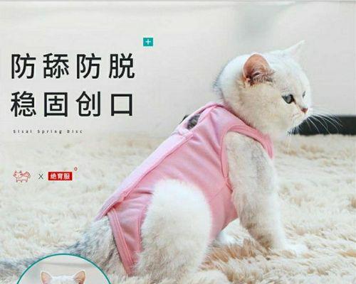 公猫母猫生小猫的奥秘（探寻猫咪繁殖的秘密）