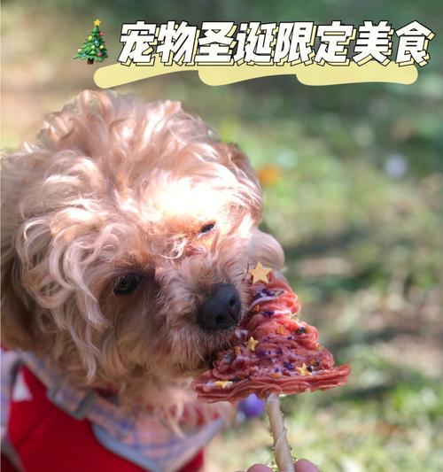 狗狗的饮食（如何让狗狗吃得健康又开心）