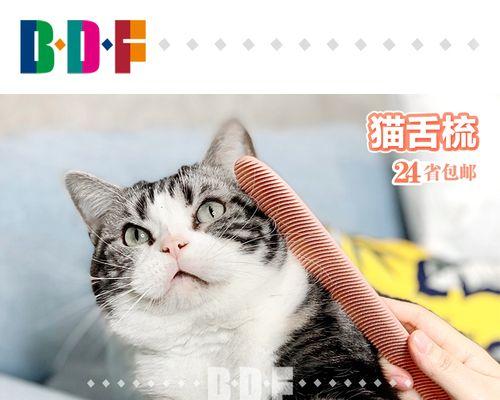 宠物猫舔毛习惯揭秘（揭秘猫咪舔别的猫毛的背后原因及如何应对）