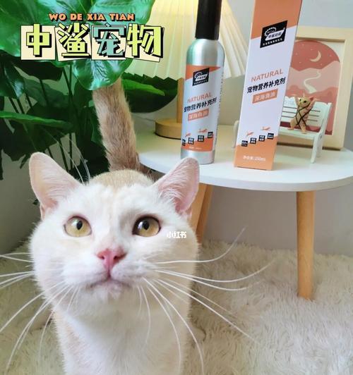 如何让宠物猫咪的毛发长得更健康（以饮食为出发点）