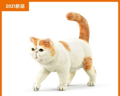 大猫VS小猫（从体型到性格）