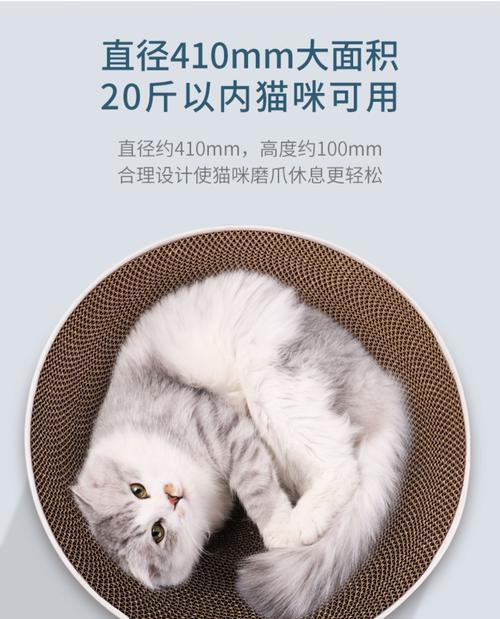 猫咪磨爪子工具，让你的宠物不再抓家具（如何选择合适的猫咪磨爪子工具）