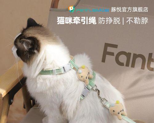 如何使用猫咪牵引绳带宠物出门（宠物健康出行的小技巧）