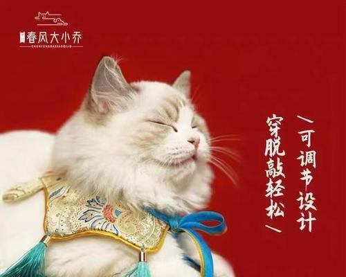 猫咪摔后几天死亡，深度剖析真相（宠物福利该如何保障）