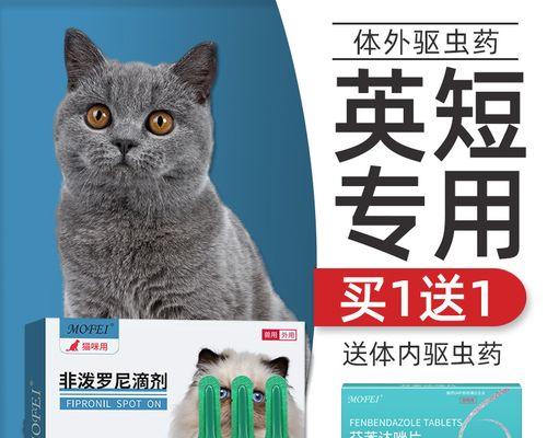 不能打猫咪的重要部位（保护宠物健康）