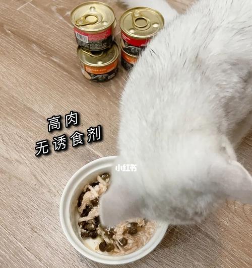 小猫能否食用成猫粮（宠物养护的正确方式）