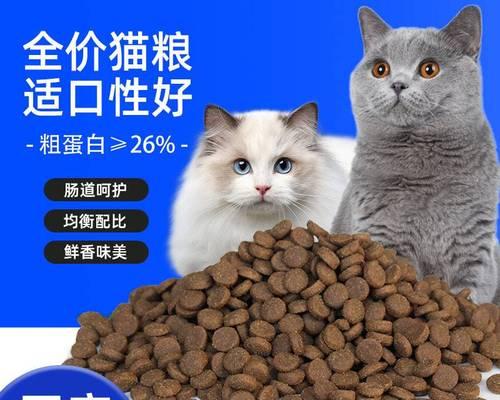 揭秘宠物猫最爱的食物与营养需求（揭秘宠物猫最爱的食物与营养需求）