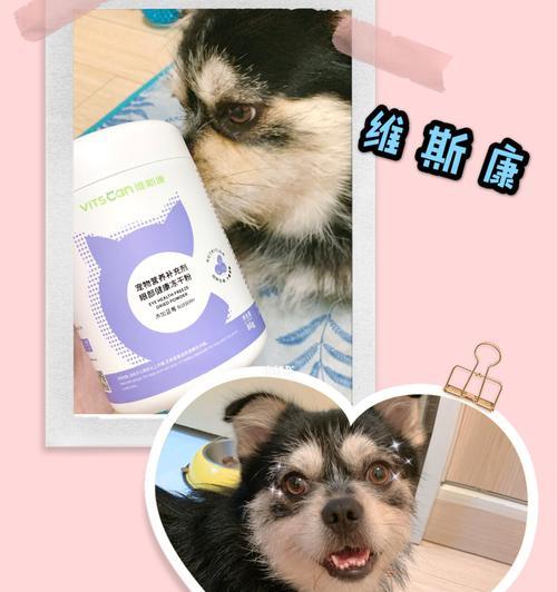 狗狗息肉用什么眼药水好？如何正确使用？