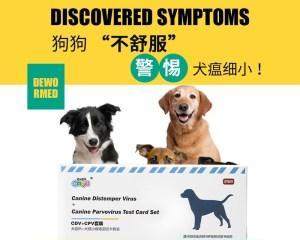 狗犬瘟发烧时应该吃什么药？如何正确选择治疗药物？