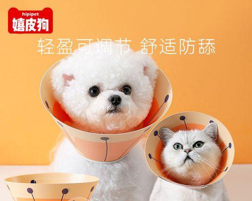 绝育后的大猫是否还会攻击小猫？行为改变有哪些？