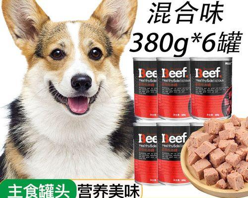 柯基犬爱吃垃圾怎么办？有效预防和纠正方法是什么？