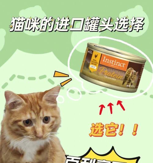 两个月大的小猫适合吃罐头吗？如何正确喂食？