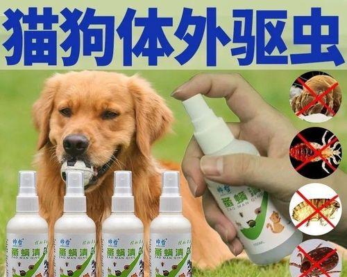 猫长皮肤病吃什么药好？如何选择合适的治疗方案？