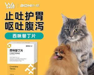 猫肠胃炎怎么治疗？有效家庭护理方法有哪些？