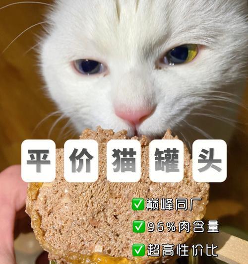 猫咪误食不新鲜罐头怎么办？如何预防和处理？