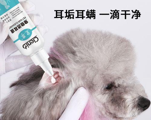 猫咪耳朵受伤了怎么办？正确处理方法是什么？