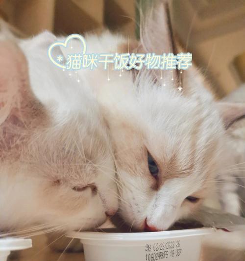 猫咪罐头可以放冰箱吗？保存方法和注意事项是什么？